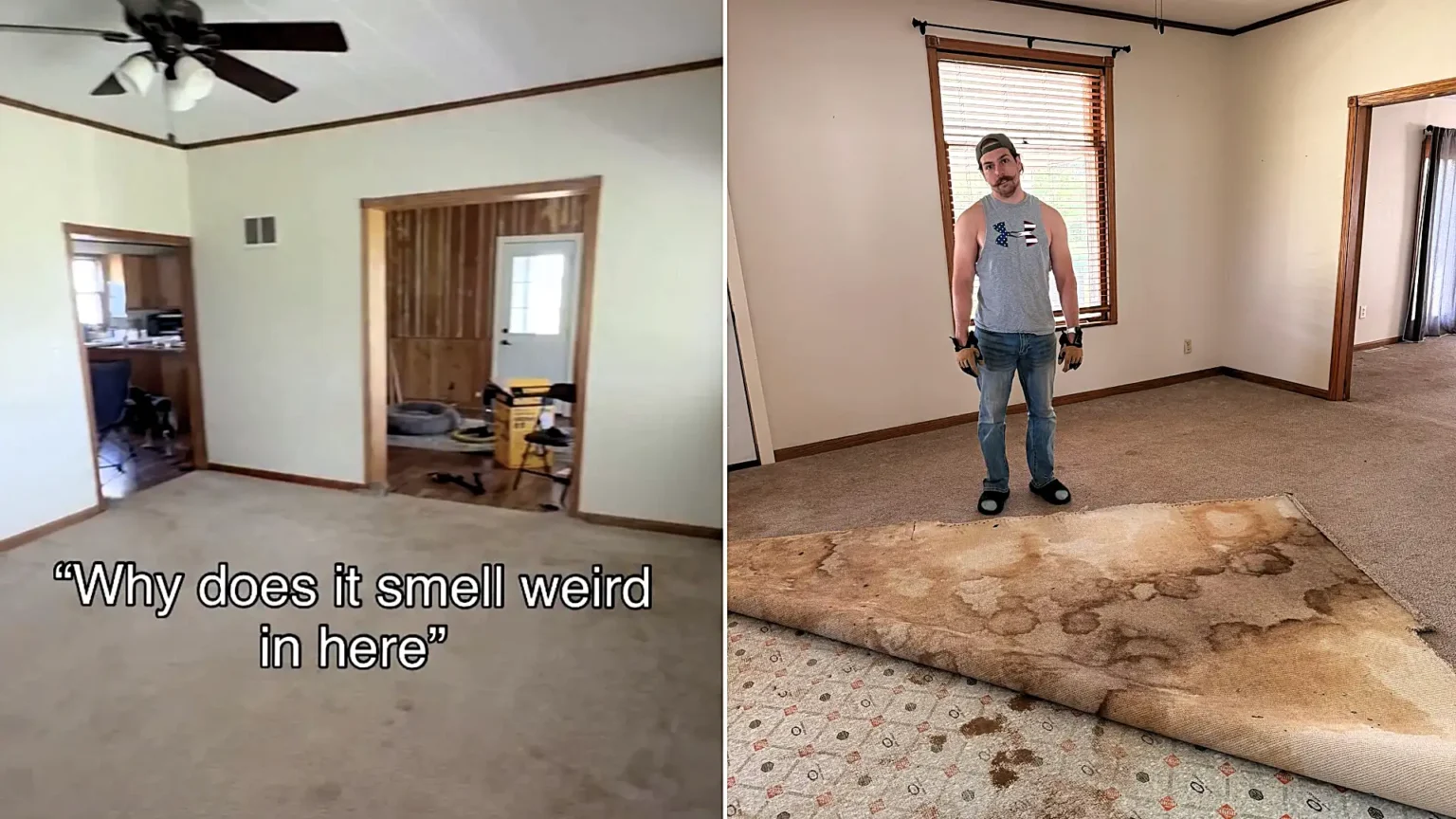 A couple who bought their dream fixer-upper were left gagging after ripping up the carpets to discover the floors underneath were saturated in urine.
