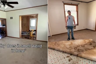 A couple who bought their dream fixer-upper were left gagging after ripping up the carpets to discover the floors underneath were saturated in urine.