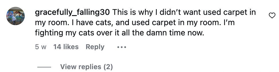 A couple who bought their dream fixer-upper were left gagging after ripping up the carpets to discover the floors underneath were saturated in urine.