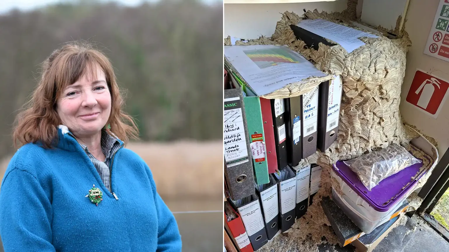 A wildlife warden has been forced out of her office after thousands of wasps moved in and built a huge nest while she was away on holiday.