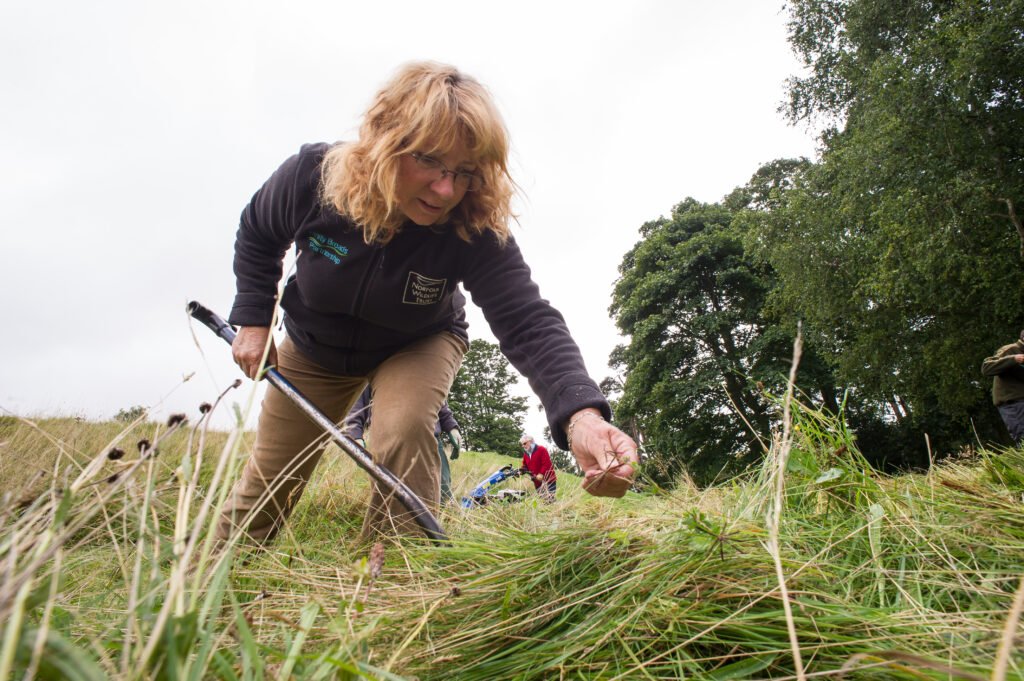 A wildlife warden has been forced out of her office after thousands of wasps moved in and built a huge nest while she was away on holiday.