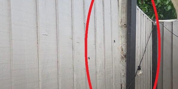 A furious mum says her neighbour's towering tree is wrecking her fence, staining her patio with bird poo and blocking four hours of sunlight a day.
