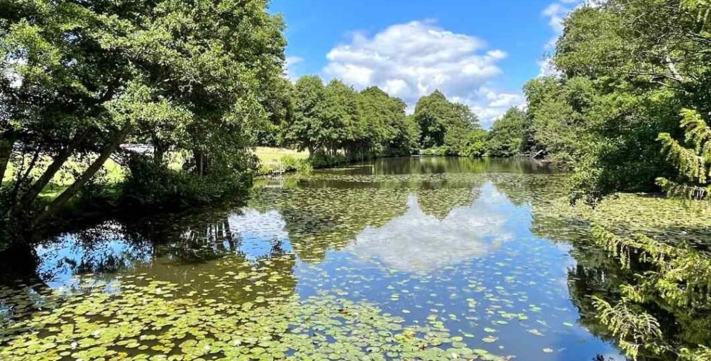 An 'Excalibur' style sword has been found sticking out of a castle lake after hot weather caused the water levels to plummet, revealing the hidden blade.