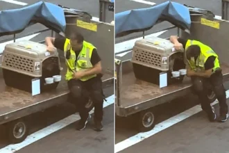 An adorable airport worker has melted hearts by sitting down on the tarmac to comfort a nervous dog travelling in the hold - as his anxious owner watched on.