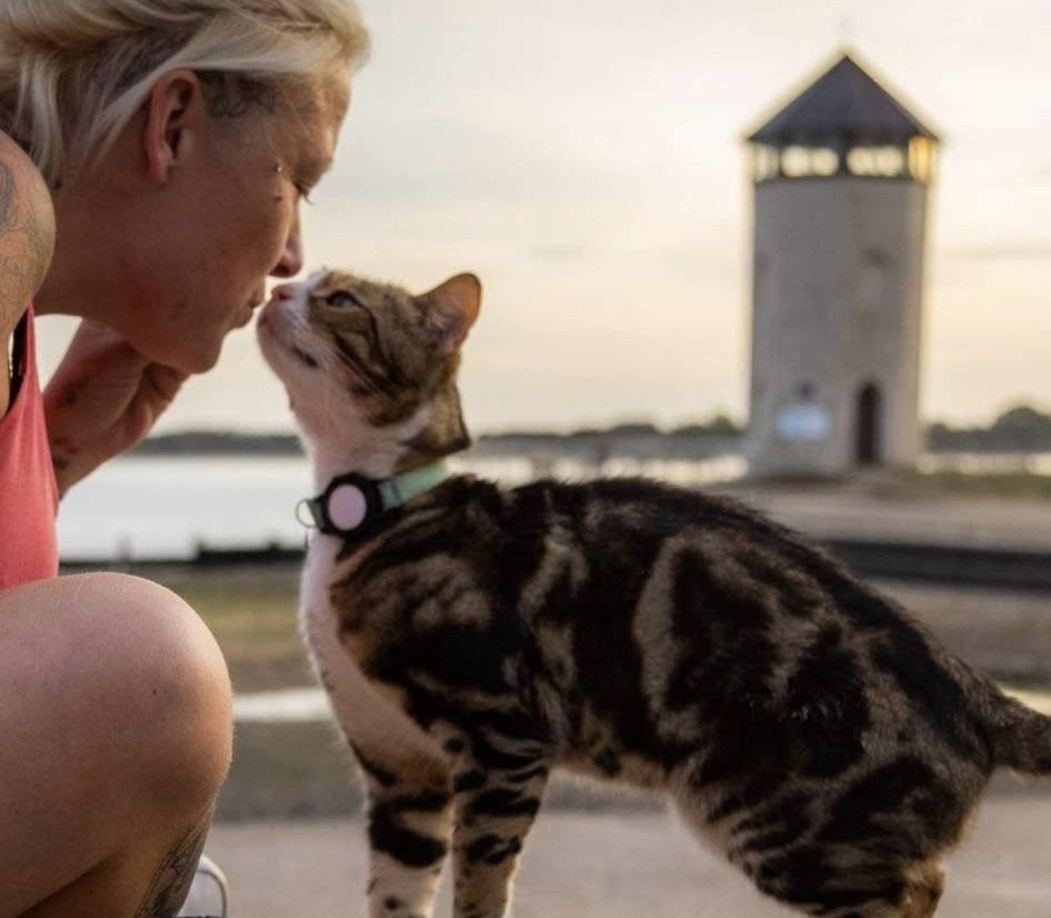 A globetrotting celebrity cat who once gatecrashed a wedding has vanished for six weeks - sparking a worldwide search among thousands of fans as far away as Australia.