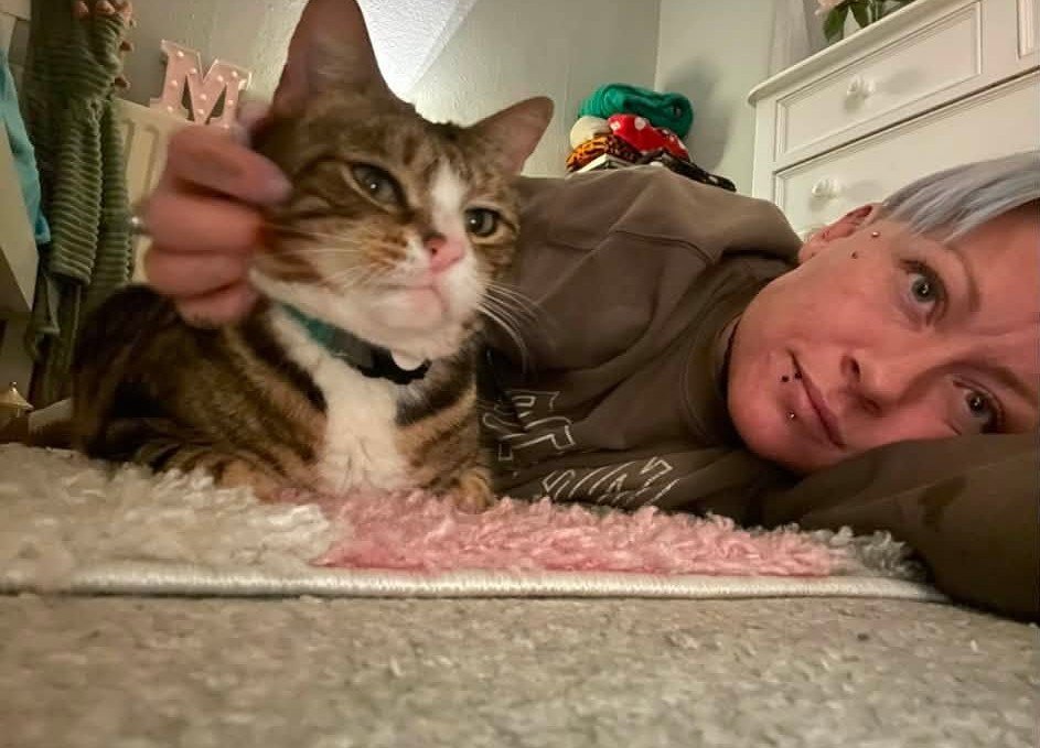 A globetrotting celebrity cat who once gatecrashed a wedding has vanished for six weeks - sparking a worldwide search among thousands of fans as far away as Australia.