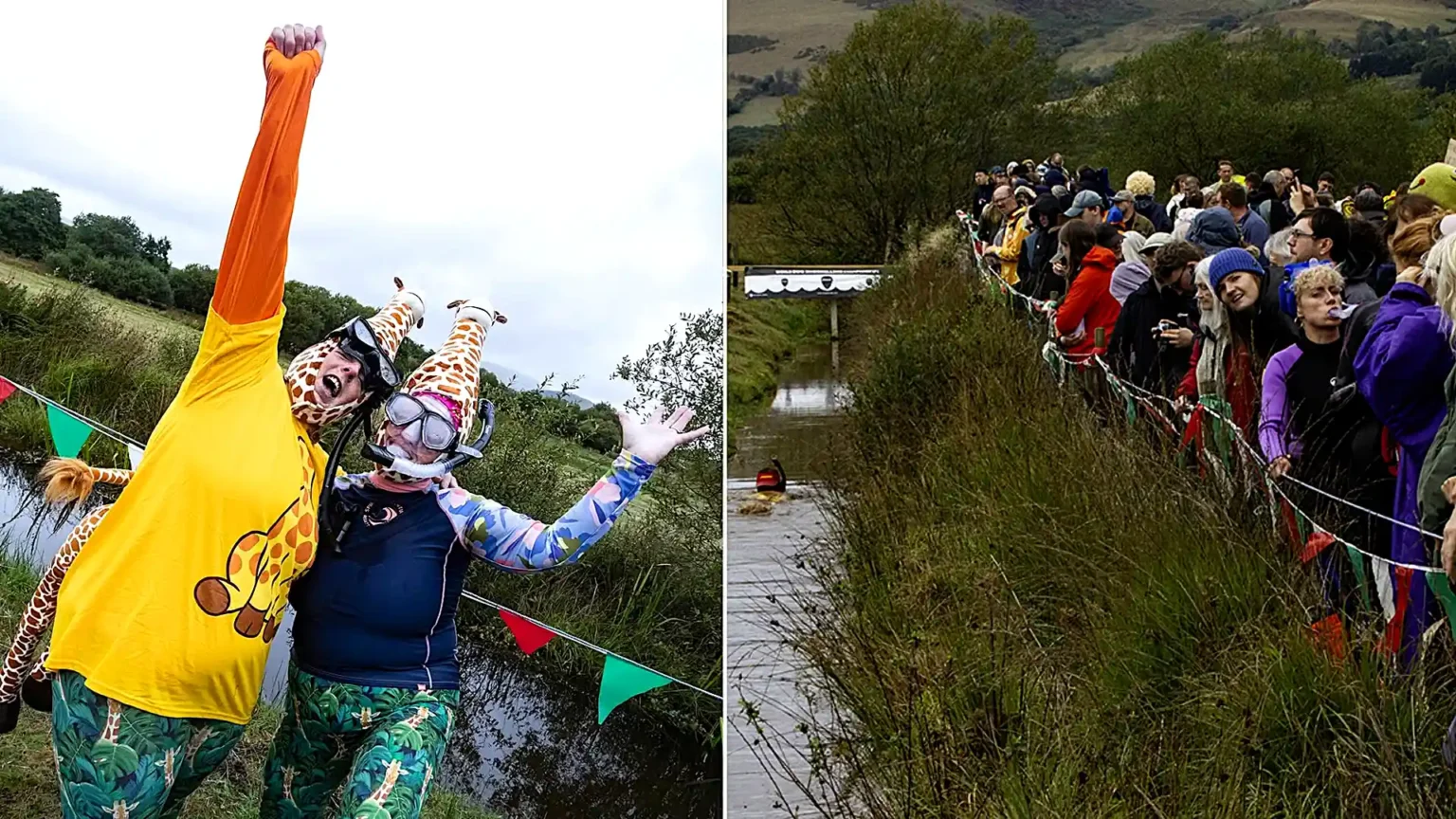Daredevils dived headfirst into a filthy 120-yard bog as the World Bog Snorkelling Championships hit 40 years - with Emily Hall crowned champ in just 1:27.97.