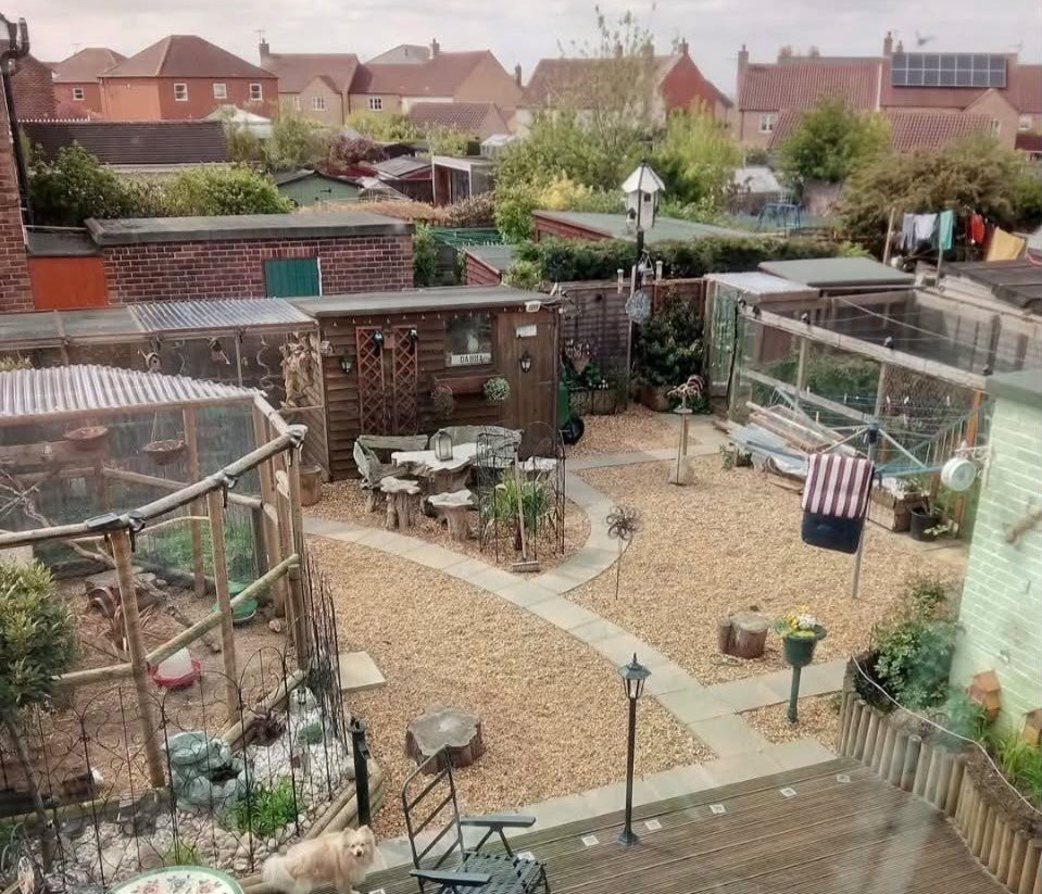 A couple have spent £25,000 turning their council house garden into a paradise with an aviary, spa, outdoor kitchen and gym - even the housing officer was stunned.