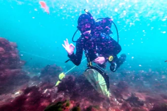 Divers have found 25 mystery structures off Cromer from a British town swallowed by the sea 700 years ago - and the discovery could debunk a famous legend.