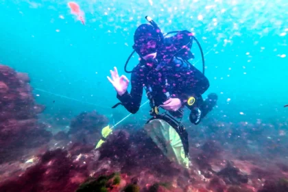 Divers have found 25 mystery structures off Cromer from a British town swallowed by the sea 700 years ago - and the discovery could debunk a famous legend.