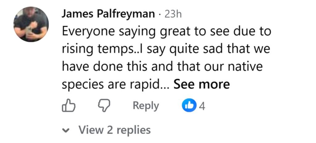 Social media comment on the post of An extremely rare tropical flying fish has been filmed in a Plymouth harbour - and the stunning sighting has sparked fresh fears over Britain's warming seas.