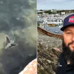 An extremely rare tropical flying fish has been filmed in a Plymouth harbour - and the stunning sighting has sparked fresh fears over Britain's warming seas.