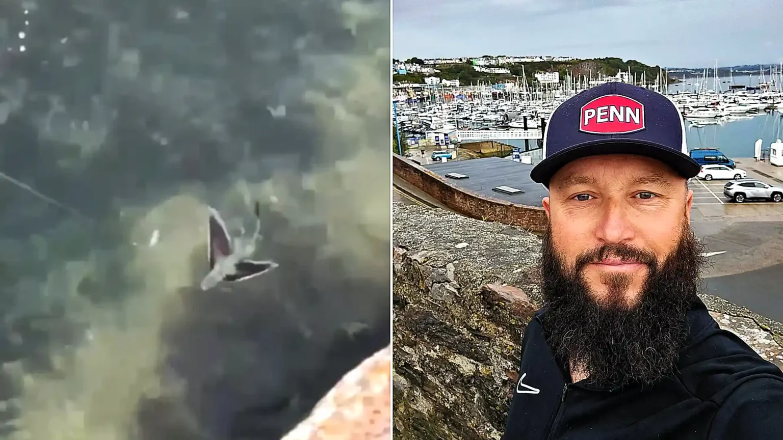 An extremely rare tropical flying fish has been filmed in a Plymouth harbour - and the stunning sighting has sparked fresh fears over Britain's warming seas.