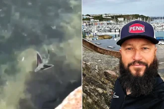 An extremely rare tropical flying fish has been filmed in a Plymouth harbour - and the stunning sighting has sparked fresh fears over Britain's warming seas.