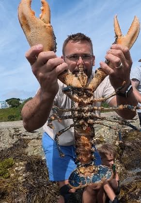 A family stumbled on a stunning electric-blue lobster in a Cornish rock pool - a one-in-two-million find experts say is caused by a genetic quirk.