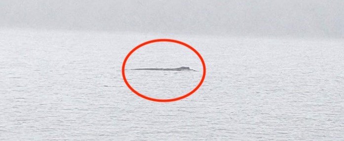 Twelve canoeists and kayakers have been plucked from the freezing waters of Loch Ness - after two separate groups capsized in a dramatic four-hour rescue.