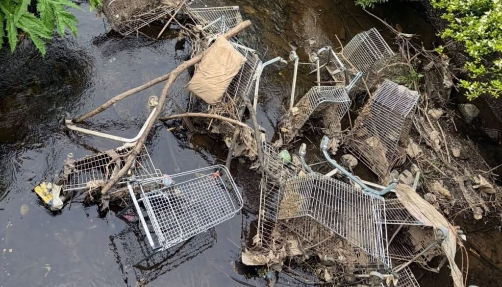 A furious plumber fed up with a filthy river has hauled 140 abandoned supermarket trolleys from the water - along with wheelie bins, tyres and even a PlayStation.