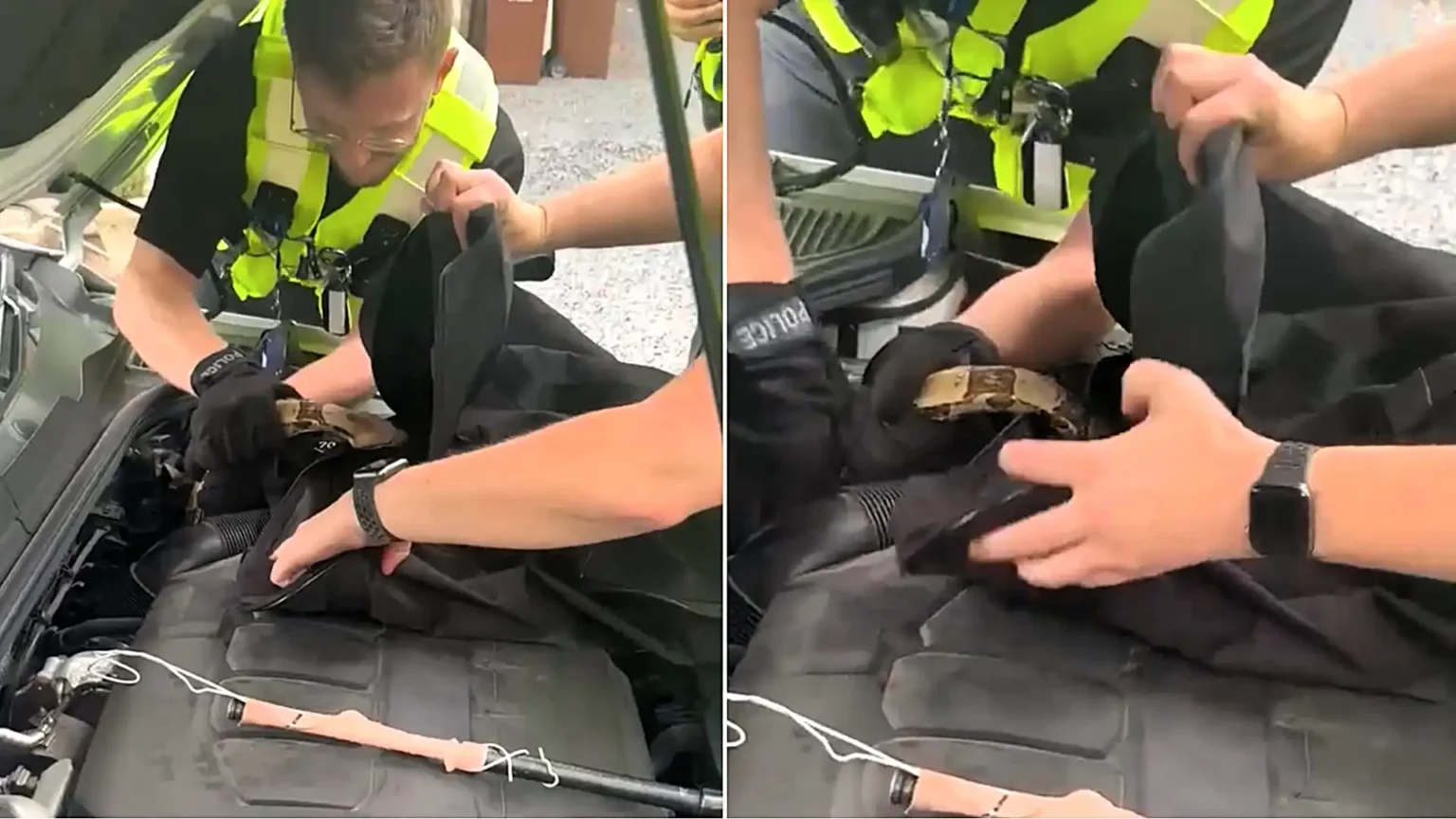Two cops turned snake wranglers to rescue a 4ft boa constrictor coiled up inside a car engine - using a coat hanger taped to a police baton.