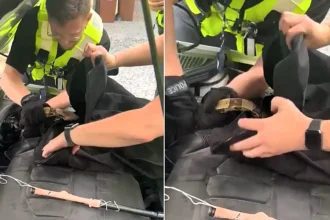 Two cops turned snake wranglers to rescue a 4ft boa constrictor coiled up inside a car engine - using a coat hanger taped to a police baton.