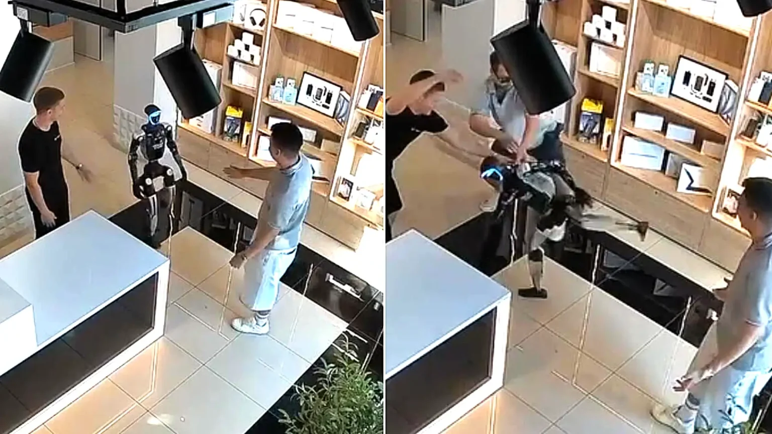 CCTV captured humanoid robot Syoma swinging its legs at a customer who shoved it in a Russian tech store - staff wrestled the machine back under control.