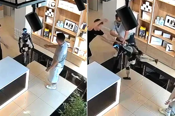 CCTV captured humanoid robot Syoma swinging its legs at a customer who shoved it in a Russian tech store - staff wrestled the machine back under control.
