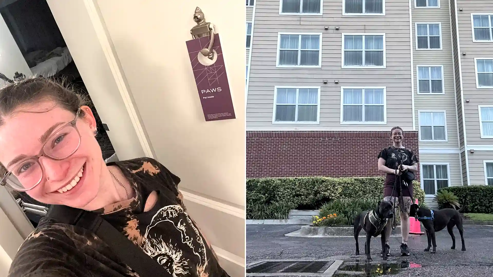 ‘I live in a HOTEL full-time with my dogs – free breakfast, housekeeping and a pool'