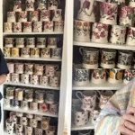 A woman obsessed with finding the perfect cuppa has spent over £2,500 on mugs - and the dedicated cupboard where she keeps all 256 of them has left people shocked.