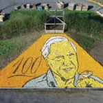 A massive portrait of Sir David Attenborough made from 11,000 pumpkins and squashes has landed a Guinness World Record - marking the icon's 100th birthday.