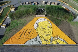 A massive portrait of Sir David Attenborough made from 11,000 pumpkins and squashes has landed a Guinness World Record - marking the icon's 100th birthday.