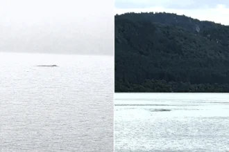 Nessie has been spotted moving against the current "like a very large eel" - with one tourist estimating the creature was at least seven metres long.