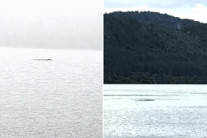Nessie has been spotted moving against the current "like a very large eel" - with one tourist estimating the creature was at least seven metres long.