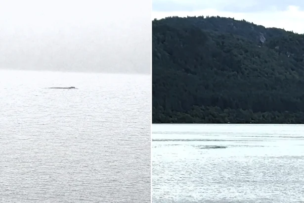 Nessie has been spotted moving against the current "like a very large eel" - with one tourist estimating the creature was at least seven metres long.