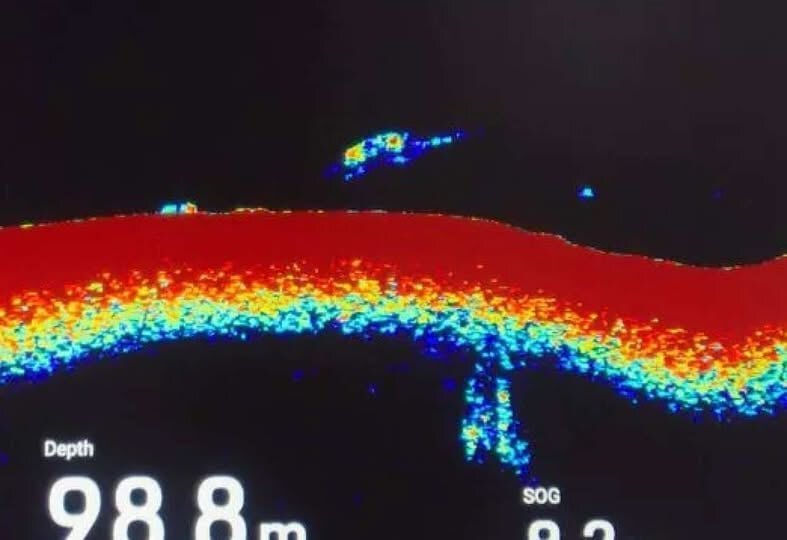 Nessie has been spotted moving against the current "like a very large eel" - with one tourist estimating the creature was at least seven metres long.
