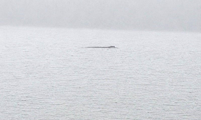 Nessie has been spotted moving against the current "like a very large eel" - with one tourist estimating the creature was at least seven metres long.