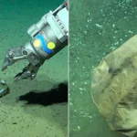 Scientists exploring a supposedly pristine deep-sea canyon have discovered a shocking collection of human rubbish lurking thousands of metres below the waves.