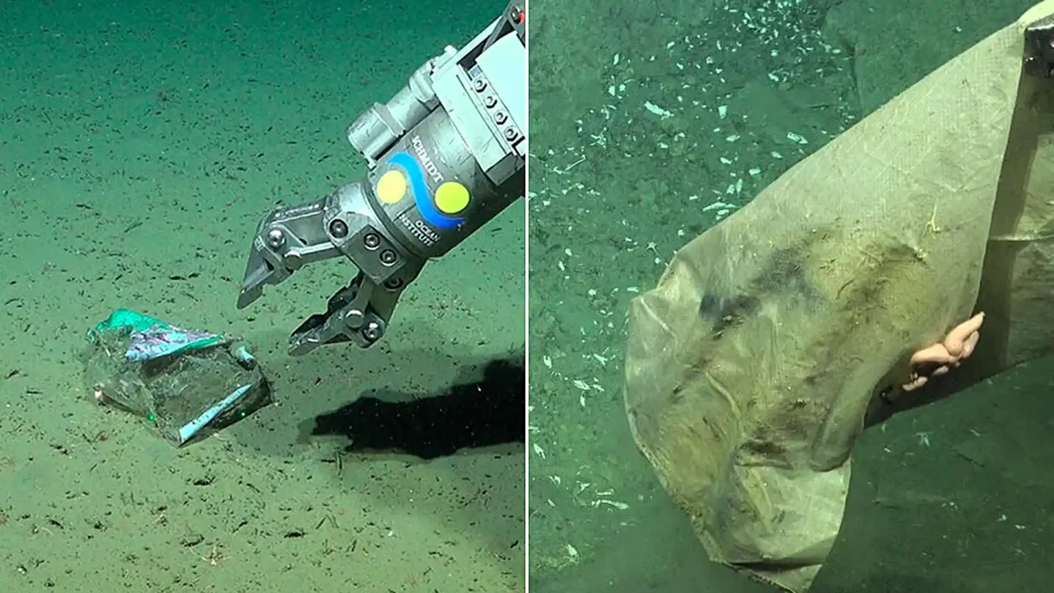 Scientists exploring a supposedly pristine deep-sea canyon have discovered a shocking collection of human rubbish lurking thousands of metres below the waves.