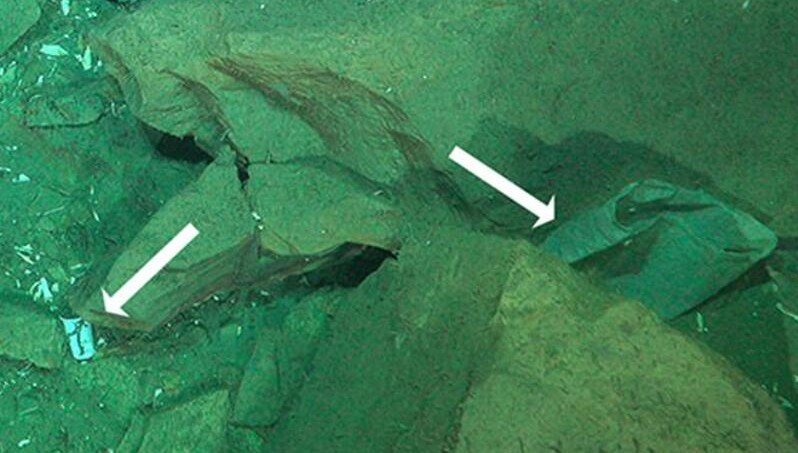 Scientists exploring a supposedly pristine deep-sea canyon have discovered a shocking collection of human rubbish lurking thousands of metres below the waves.