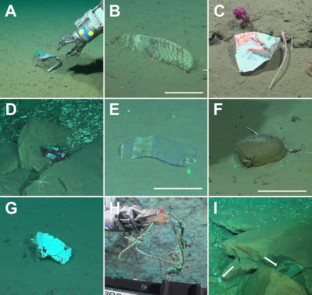 Scientists exploring a supposedly pristine deep-sea canyon have discovered a shocking collection of human rubbish lurking thousands of metres below the waves.