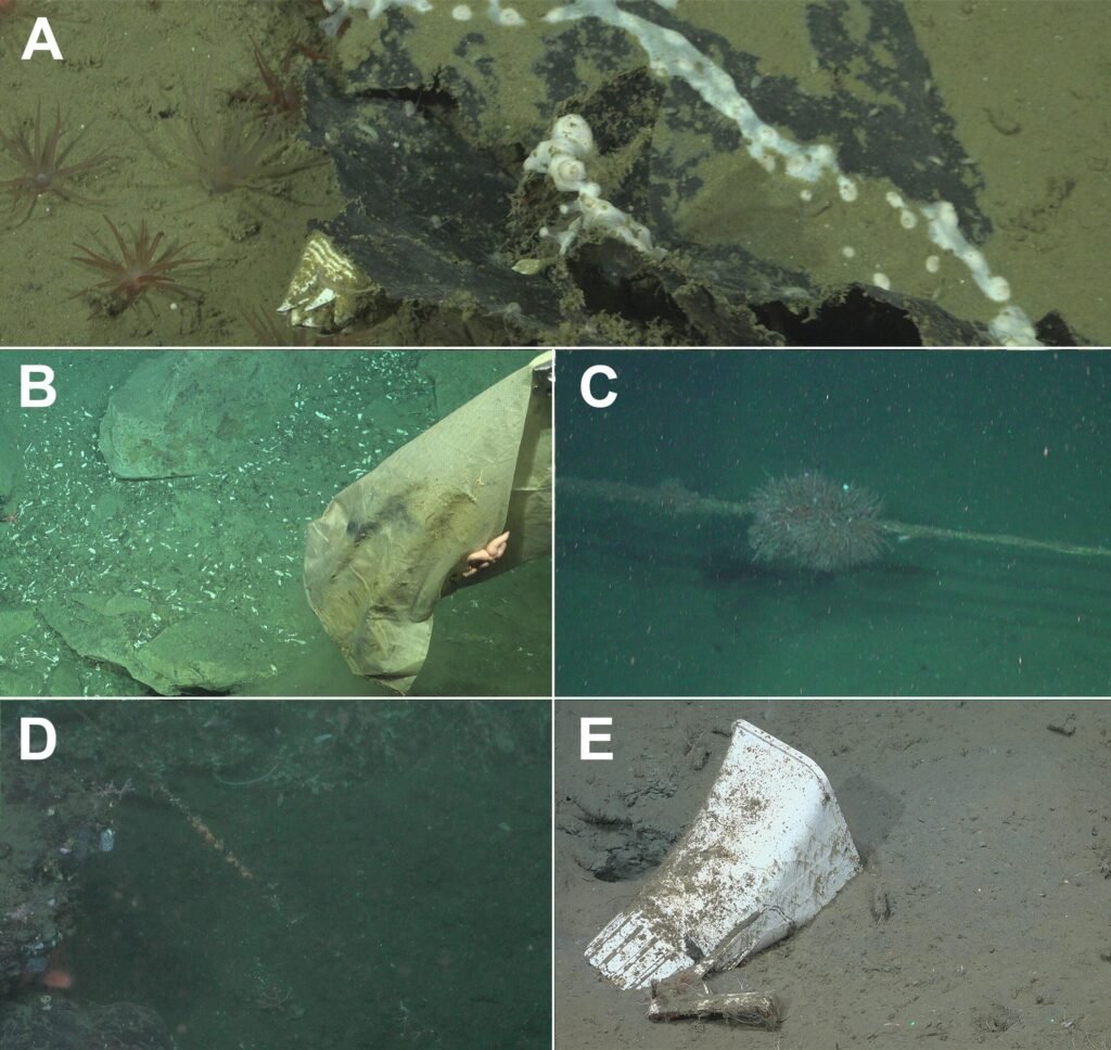 Scientists exploring a supposedly pristine deep-sea canyon have discovered a shocking collection of human rubbish lurking thousands of metres below the waves.