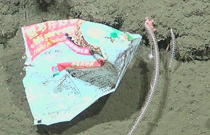 Scientists exploring a supposedly pristine deep-sea canyon have discovered a shocking collection of human rubbish lurking thousands of metres below the waves.