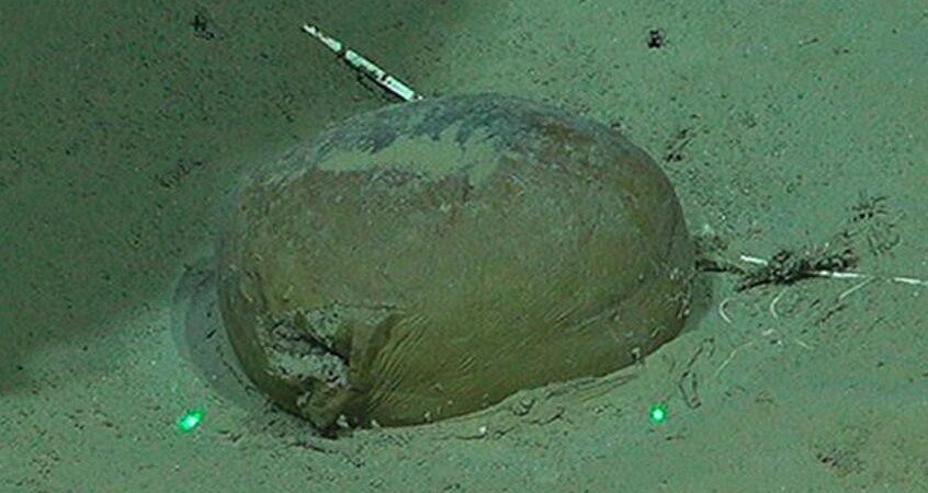 Scientists exploring a supposedly pristine deep-sea canyon have discovered a shocking collection of human rubbish lurking thousands of metres below the waves.