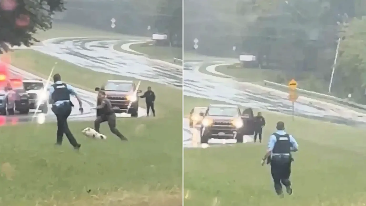 Police in Virginia were given the runaround by an escaped pig in hilarious footage showing officers chasing the speedy porker along a rain-soaked roadside in Dale City.