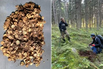 A treasure hunter who was about to give up has unearthed Finland's biggest ever Viking-era hoard - thousands of silver coins stashed in two birch-bark pots.
