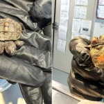 An incredibly rare two-headed baby turtle weighing just 5.2g has been found on Cape Cod - and experts say they have seen only two other cases in five years.
