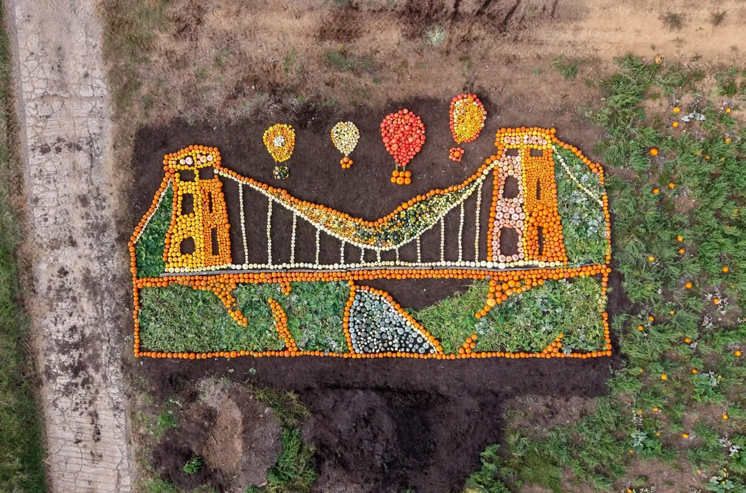 An iconic bridge built by Britain's most famous engineer has been recreated using thousands of pumpkins - all grown at a zoo using dung from its elephants.