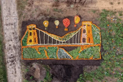 An iconic bridge built by Britain's most famous engineer has been recreated using thousands of pumpkins - all grown at a zoo using dung from its elephants.