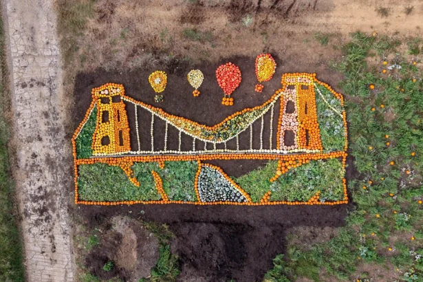 An iconic bridge built by Britain's most famous engineer has been recreated using thousands of pumpkins - all grown at a zoo using dung from its elephants.