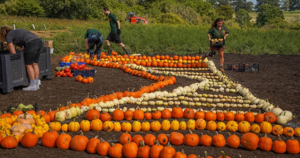 An iconic bridge built by Britain's most famous engineer has been recreated using thousands of pumpkins - all grown at a zoo using dung from its elephants.