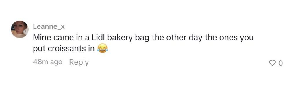 A woman was left mortified after her £8 Vinted bikini arrived inside a recycled Nando's takeaway bag - and the vegetarian feared it was covered in chicken grease.