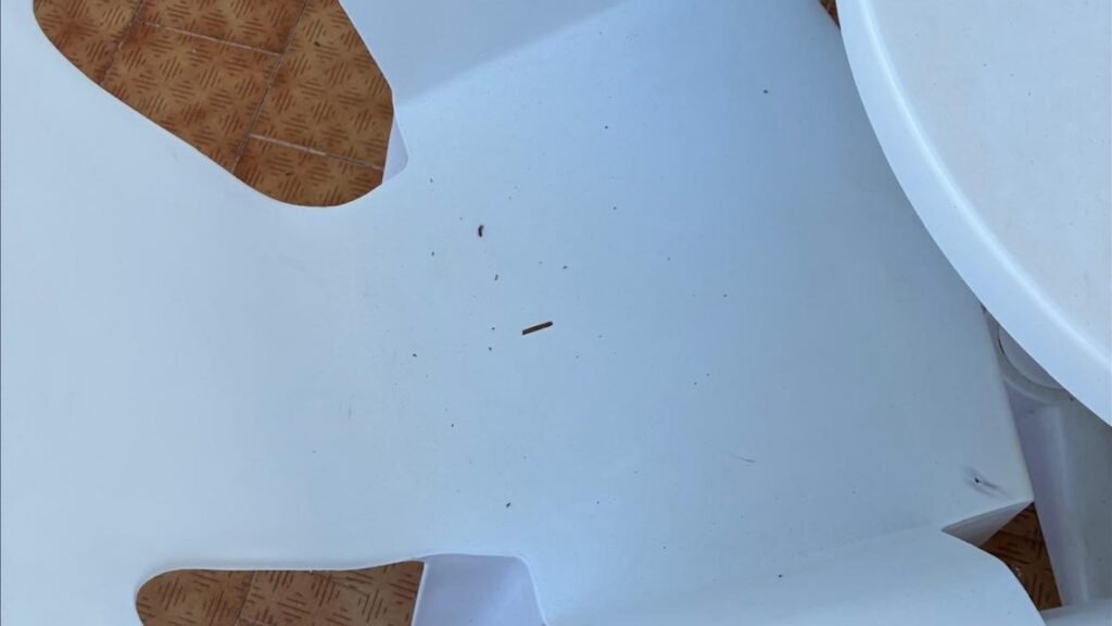A holidaymaker says her £2,000 Majorca break was ruined by a room "smaller than a prison cell" - with bunk beds and ants crawling up the walls.